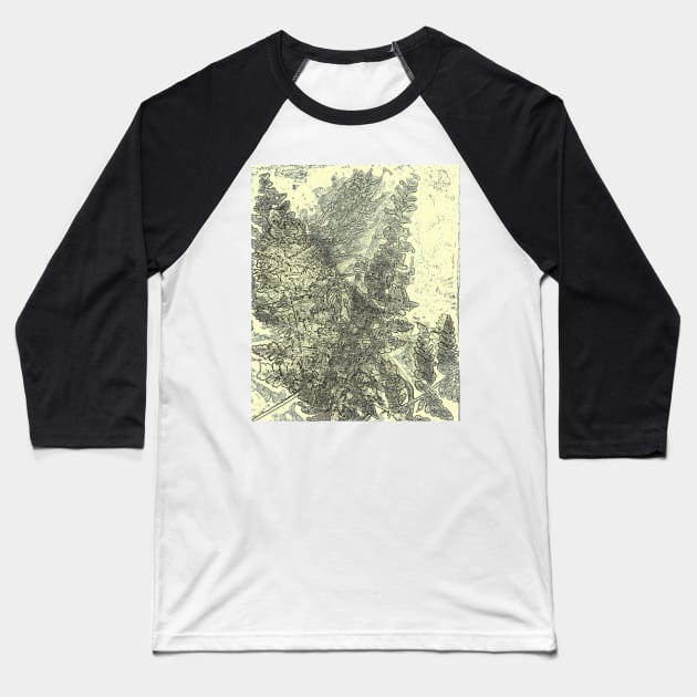 Lumen Print Ferns Baseball T-Shirt by Alchemia